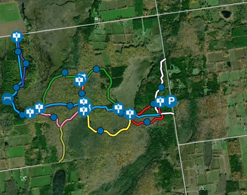Grey-Sauble-Conservation-Massie-Hills-Management-Area